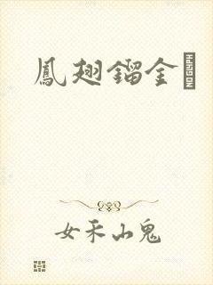 凤翅镏金镋封面