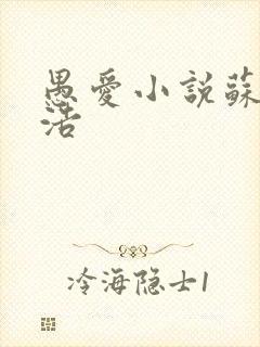 愚爱小说苏倩孙浩封面