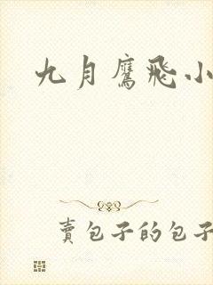 九月鹰飞小说封面