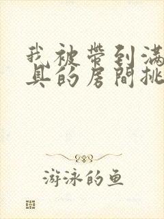 我被带到满是玩具的房间挑调作文