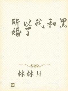所以我和黑粉结婚了封面