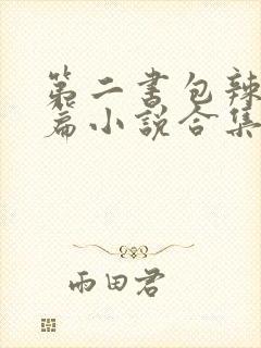 第二书包辣网短篇小说合集