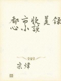 都市收美录宁素心小说