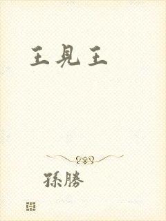 王见王封面