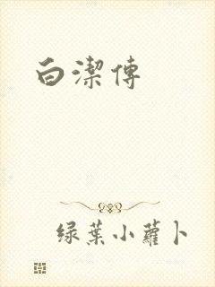 白洁传