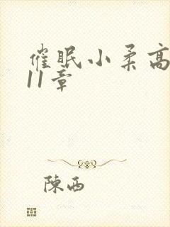 催眠小柔高达第11章封面