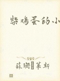柴鸡蛋的小说