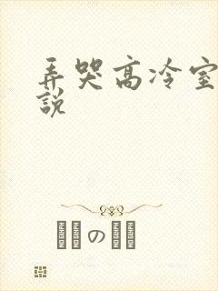 弄哭高冷室友小说