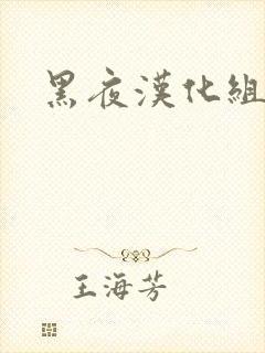 黑夜汉化组