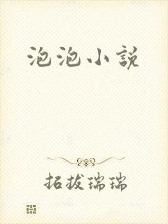 泡泡小说