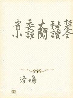 省委大秘楚东恒小说阅读全文封面