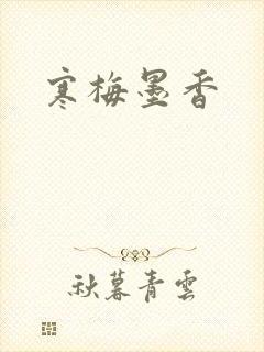 寒梅墨香封面
