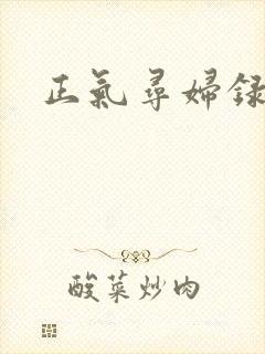 正气寻妇录