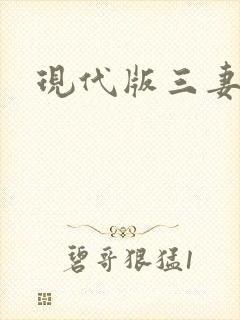 现代版三妻四妾