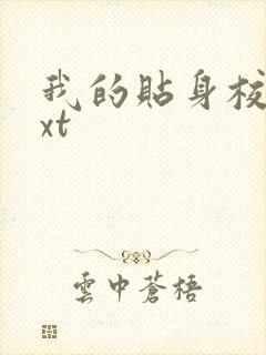 我的贴身校花txt