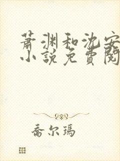 萧渊和沈安安的小说免费阅读