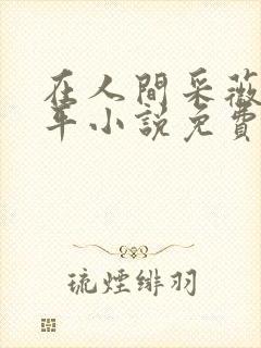 在人间采薇陆三平小说免费阅读封面