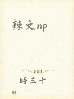 辣文np