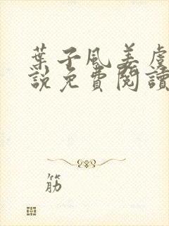 叶子风姜虞雪小说免费阅读封面