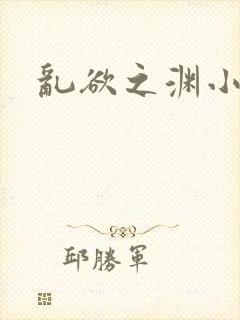 乱欲之渊小说封面