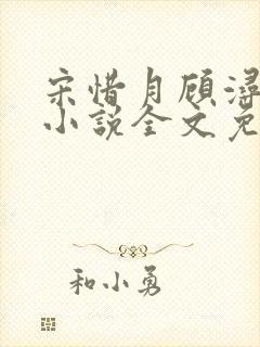 宋惜月顾浔渊的小说全文免费阅读