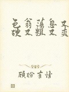 色翁荡息又大又硬又粗又爽