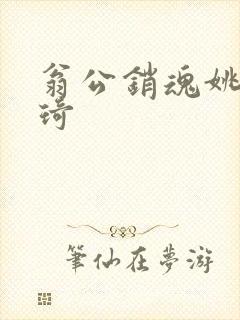 翁公销魂姚瑶琦琦封面