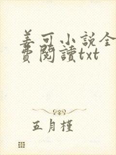 姜可小说全文免费阅读txt封面