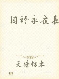 囚于永夜长佩