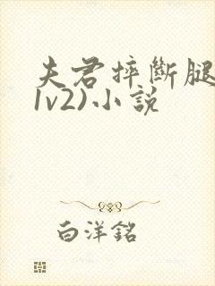 夫君摔断腿后(1v2)小说