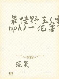 最佳野王(电竞nph)一坨薯饼