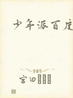 少年派百度百科