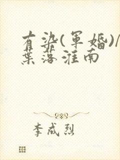 有染(军婚)/叶落淮南