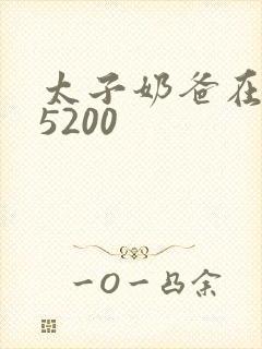 太子奶爸在花都5200封面