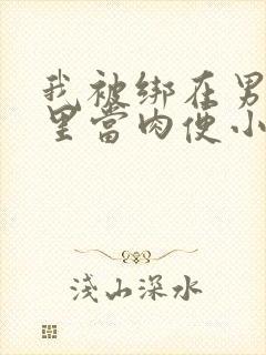 我被绑在男公厕里当肉便小说