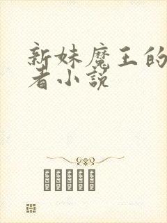 新妹魔王的契约者小说封面