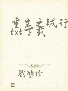 重生之贼行天下txt下载