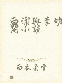 白洁与李明笔趣阁小说