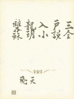 双龙入户三人行苏玥小说全文阅读封面