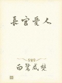 长官爱人封面
