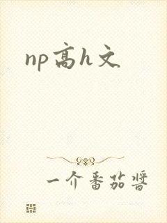 np高h文
