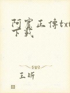 阿宾正传txt下载
