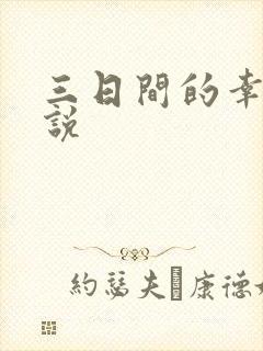 三日间的幸福小说