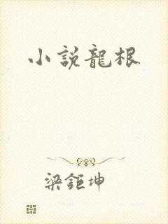 小说龙根封面