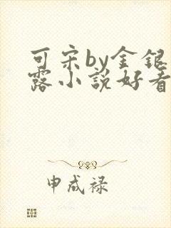 可宋by金银花露小说好看吗