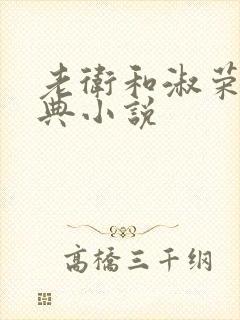 老卫和淑荣的经典小说