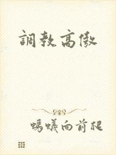 调教高傲