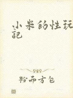 小米的性玩具日记