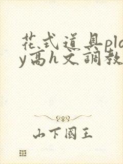 花式道具play高h文调教封面