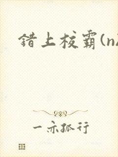 错上校霸(n)封面